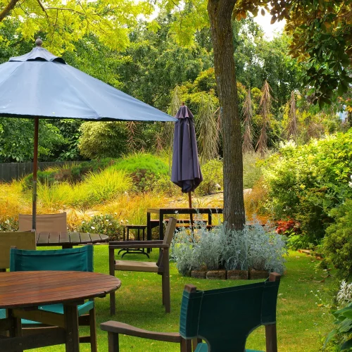 dining-table-in-sunny-garden-2026-03-24-10-13-24-utc